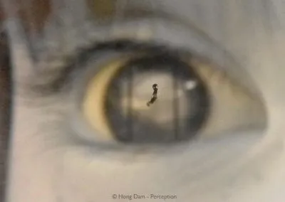 Perception
